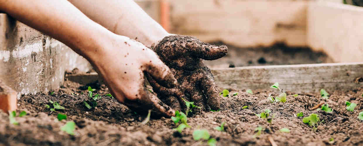 Why Start A Blog For Your Garden Business